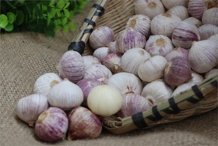 src=http___gw.alicdn.com_imgextra_i4_898385644_T2AyOeXKBXXXXXXXXX-898385644.jpg&refer=http___gw.alicdn