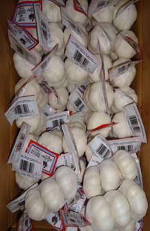 Pētījums par Ķīnas ķiploku importa tirdzniecības ietekmi uz Ekvadoras ķiploku...