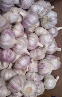 Kā iegādāties ķiplokus Dominikānā